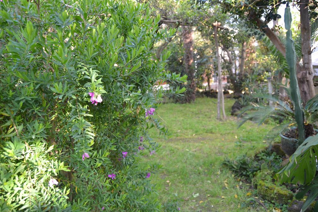 Piccolo Tirreno Hotel Residence Προτσίντα Εξωτερικό φωτογραφία