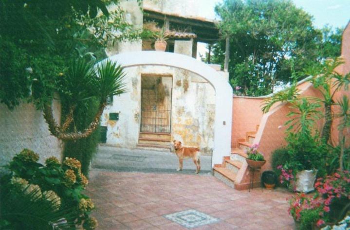 Piccolo Tirreno Hotel Residence Προτσίντα Εξωτερικό φωτογραφία